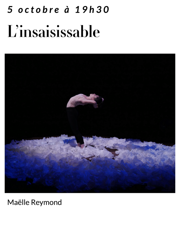 L&rsquo;insaisissable
